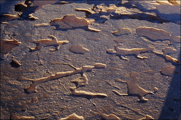 northshore-petroglyph-20.jpg